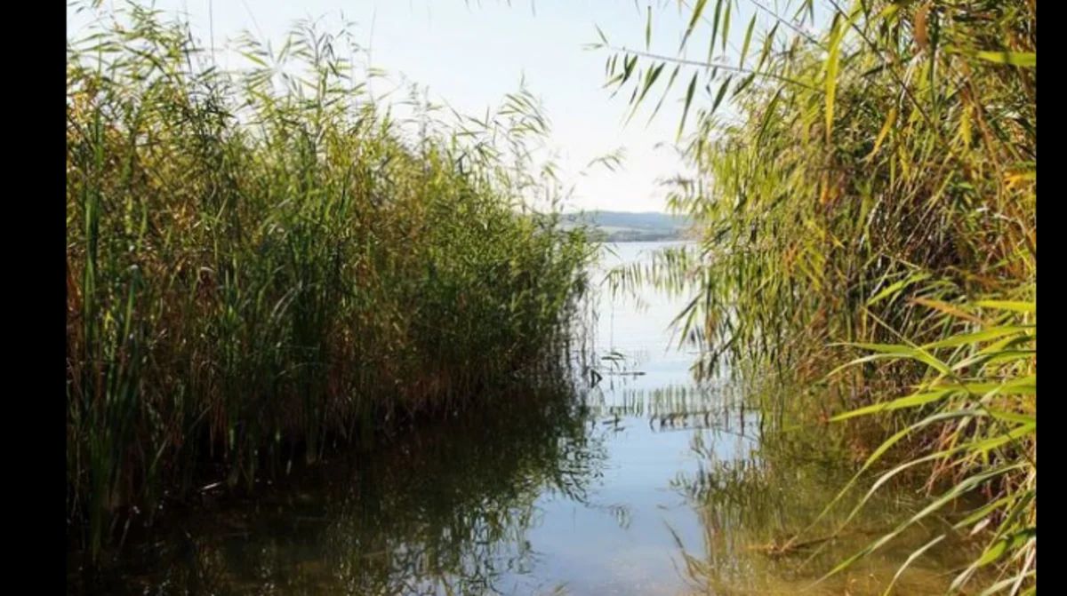 Qobustanda 9 yaşlı uşaq gölməçəyə düşərək ölüb