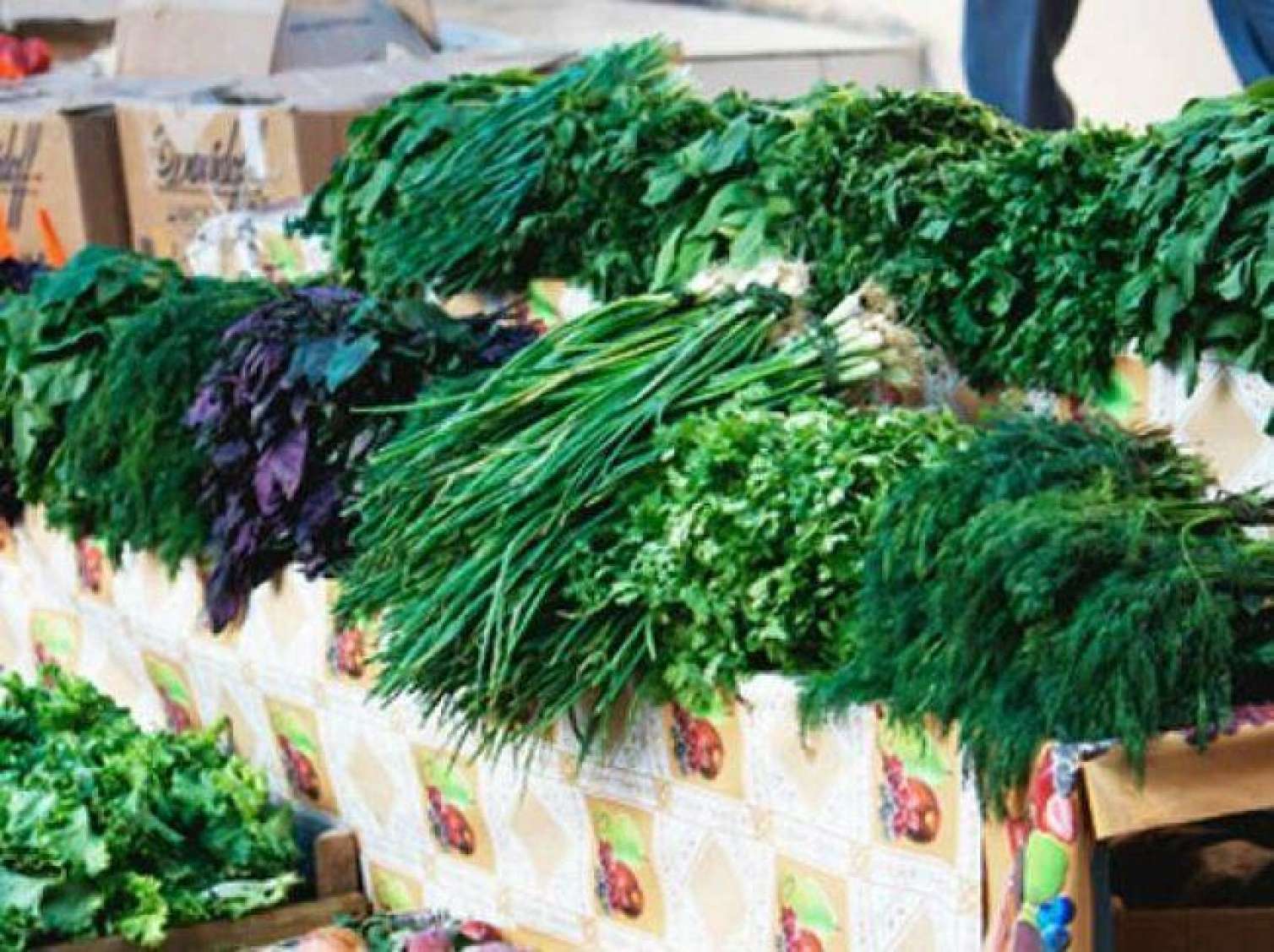 Göyərti də bahalaşdı - QİYMƏT