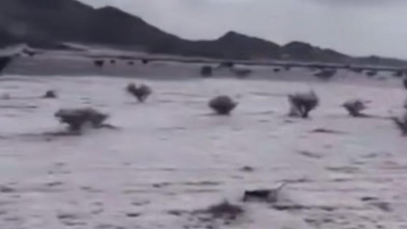 Səudiyyə Ərəbistanında doludan sonra səhralar ağarıb