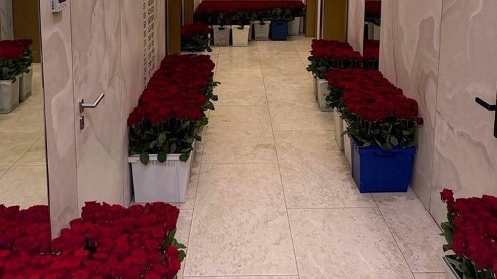 Sevgilisinə bir milyon qızılgül göndərdi - FOTOLAR