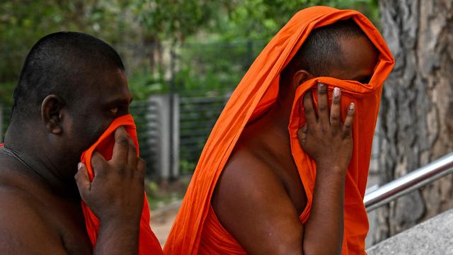 Rahiblərin çamadanlarından 110 kiloqram narkotik tapılıb