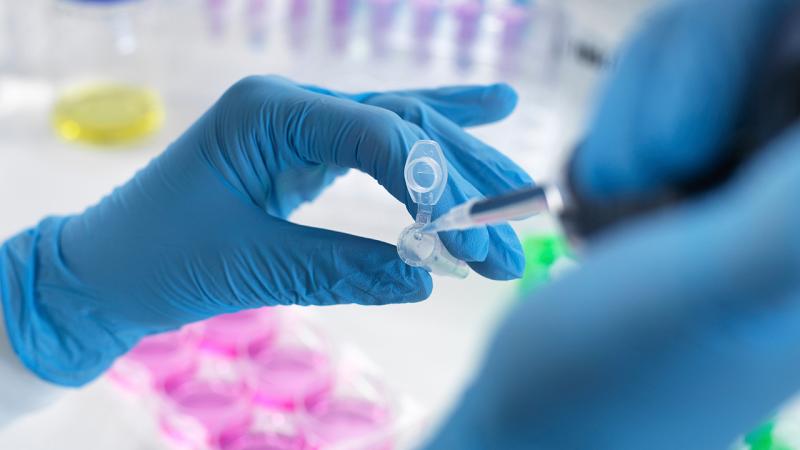 Universitet laboratoriyasında narkotik laboratoriyası tapıldı