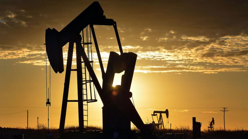 Brent markalı neftin bir barreli 113,76 dollara satılır