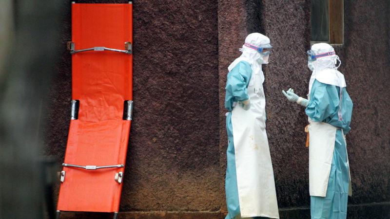 Argentina kruiz gəmisində Hantavirus epidemiyasının mənbəyini araşdırır