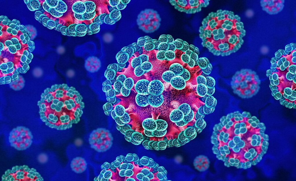 “Hantavirus”a yoluxanların sayı arta bilər?- ÜST-dən AÇIQLAMA