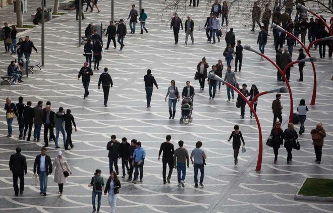 Hantavirusa ölkəmizdə yoluxma olub? - RƏSMİ