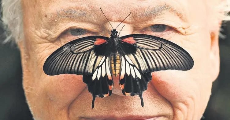 Tanınmış təbiət sənədli filmi rejissoru Attenborough 100 yaşını qeyd edir