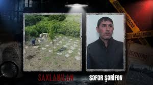 Balakəndə narkotik plantasiyası aşkarlanıb - VİDEO