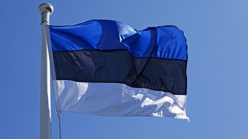 Estoniya hava məkanına daxil olan PUA NATO qırıcısı tərəfindən vurulub