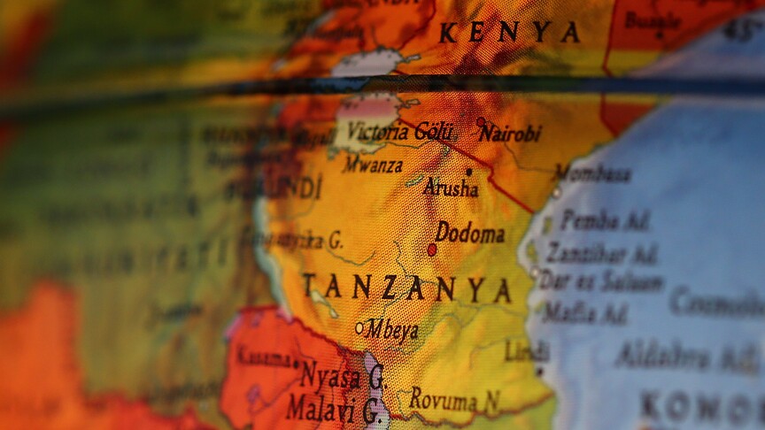 Tanzaniyada nadir yer elementi yatağı aşkar edilib