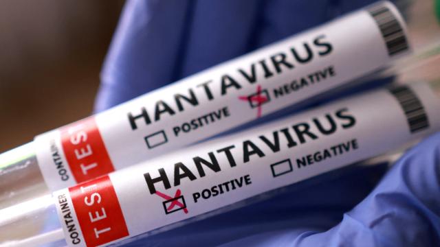 Hantavirus daşıyan gəmi yenidən yola düşür
