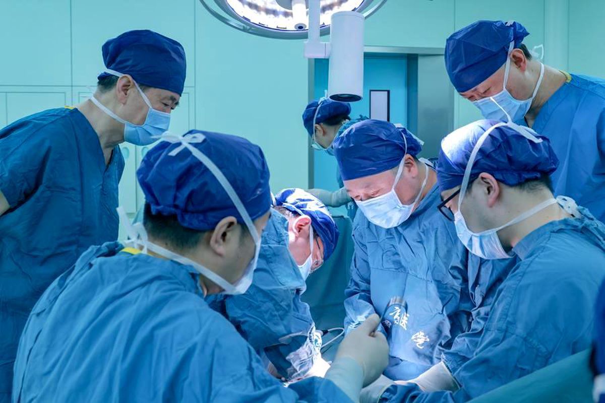 Çindən xenotransplantasiya yolu ilə tarixi transplantasiya
