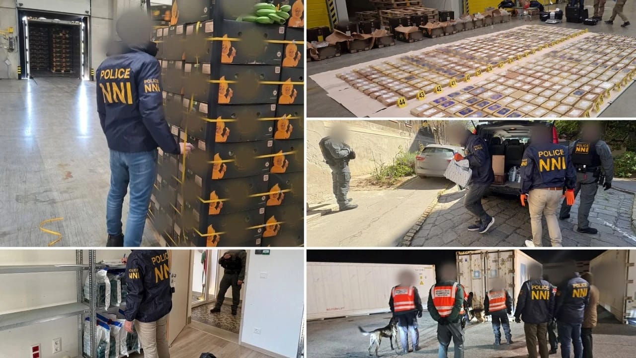 Banan qutularında gizlədilmiş yarım tondan çox narkotik aşkar edilib