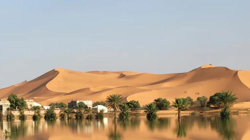 Sahara səhrasında 49 nəfər susuzluqdan ölüb