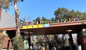 Bu qurum 350 min manatlıq siçan aldı