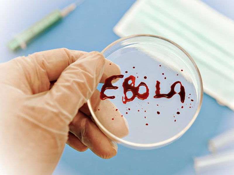 “Ebola” can almağa davam edir: 933 yoluxma qeydə alındı