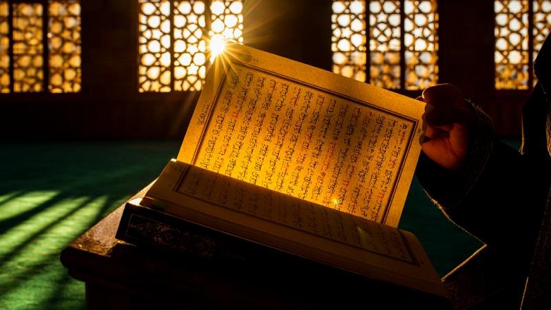 Almaniyada hər gün müsəlmanlara qarşı 11 hadisə baş verir