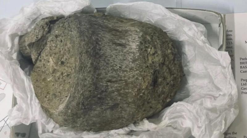 Çəkməcədə unudulan qalıqlar Antarktidanın ilk dinozavrı oldu