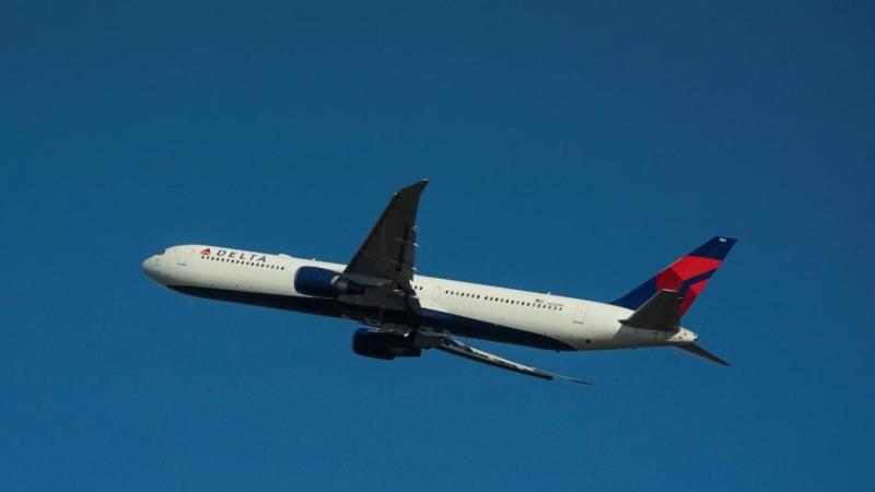 Delta təyyarəsinə atəşfəşanlıq zamanı fişəng tuş gəlib