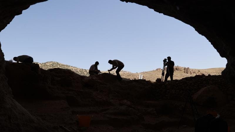 Mağara divarlarında qədim insan DNT-si aşkar edilib