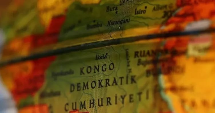 Konqo Demokratik Respublikasında yeni meymun növü aşkar edilib