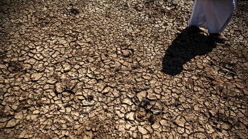 Anomal istilər Avropada quraqlığı şiddətləndirir