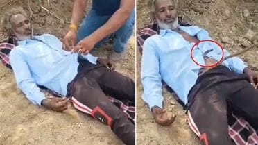 Kobra tarlada yatan fermerin köynəyinin içinə girdi