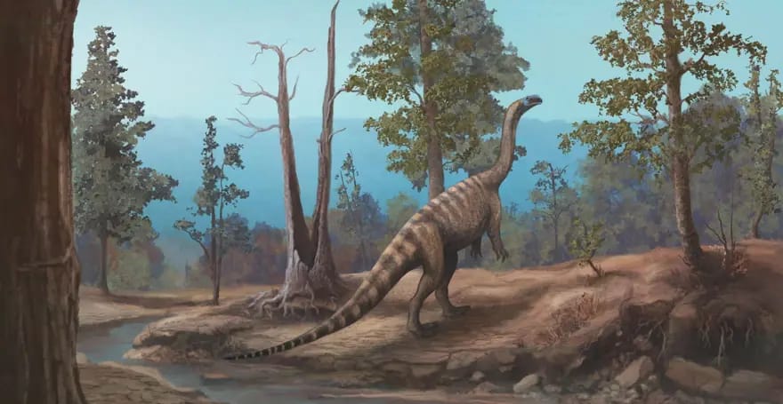 210 milyon il əvvələ aid yeni dinozavr növü aşkar edilib