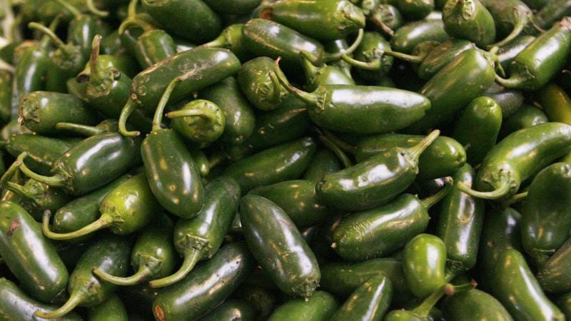ABŞ-da salmonella epidemiyası 27 ştata yayılıb