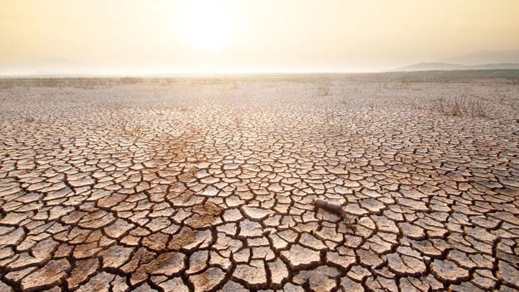 El Nino 50 milyon insanı aclıq təhlükəsi ilə üz-üzə qoya bilər