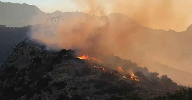 Yunanıstanda 6 yanğın törətməkdə şübhəli bilinən şəxs saxlanılıb