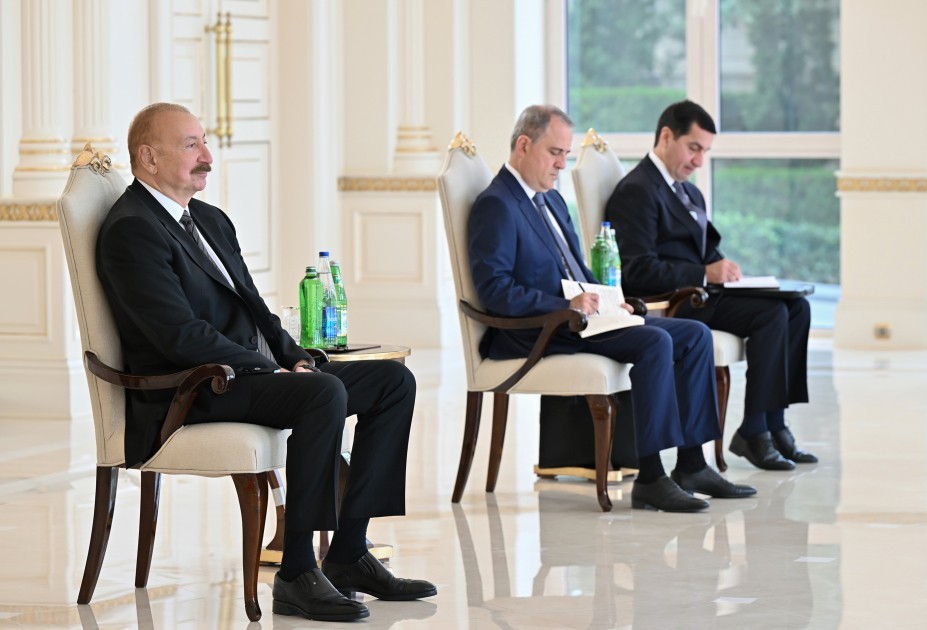Prezident BMT-nin rezident əlaqələndiricisini qəbul etdi - FOTOLAR