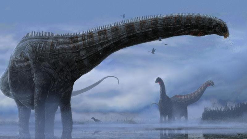 Afrikada 210 milyon il əvvələ aid yeni dinozavr növü aşkar edilib