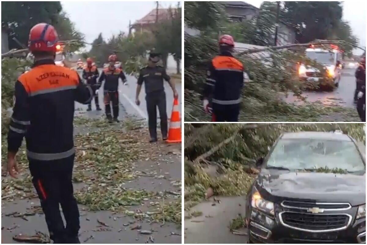 Güclü külək ağacı avtomobil üstünə aşırdı