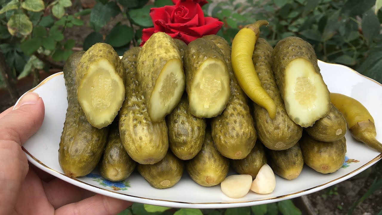 Xiyar turşusunun içindən milçək çıxdı: AQTA araşdırmaya başladı