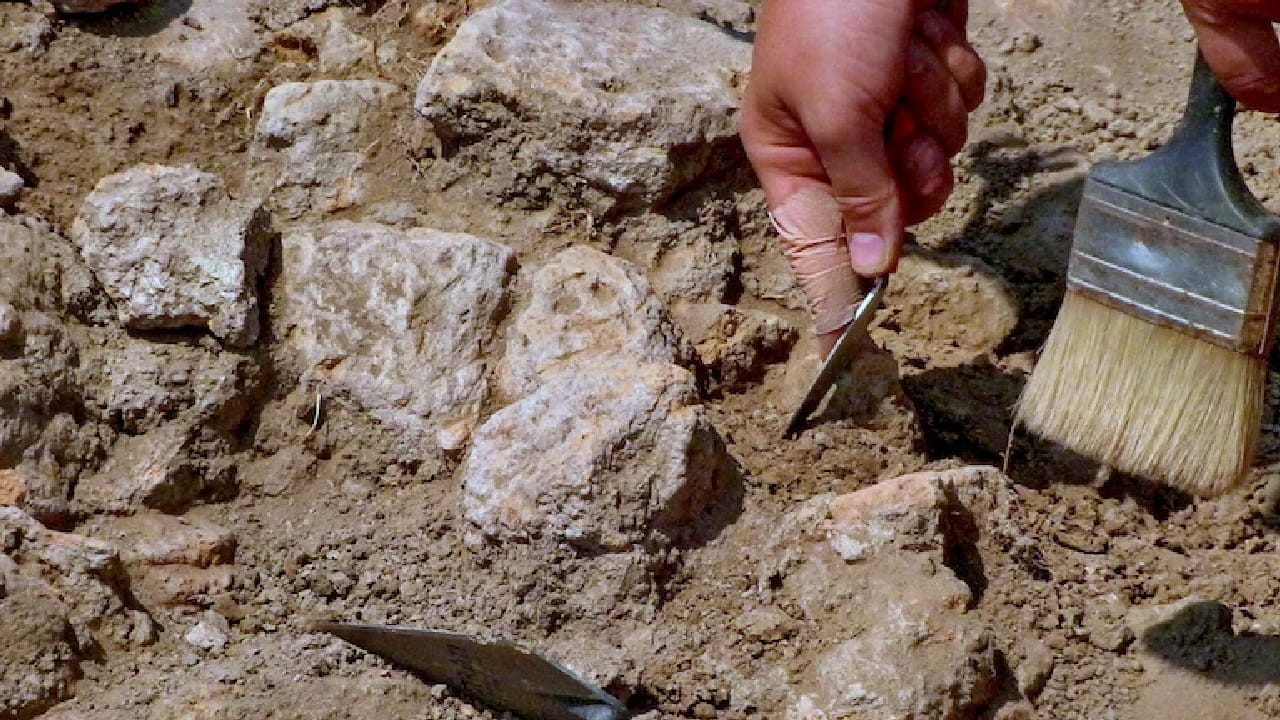 Qazıntı sahəsində təxminən 20 uşağın qalıqları aşkar edilib