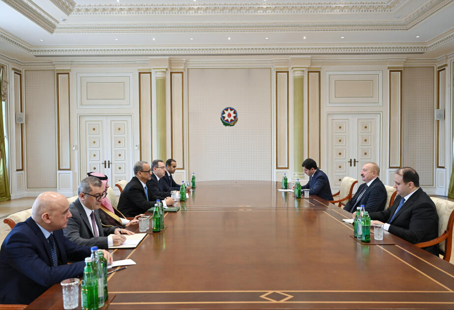 Prezident İlham Əliyev İslam Əməkdaşlıq Təşkilatının Baş katibini qəbul edib (Foto)