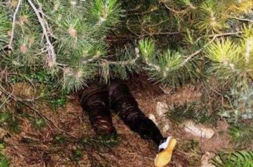 Mağazadan 350 manat oğurlayan kişi tutuldu