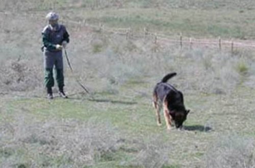 Tərtər, Ağdam, Ağcabədi minalardan təmizlənib
