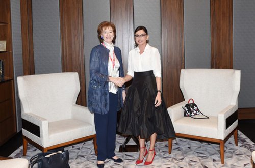 Heydər Əliyev Fondu ilə San Patrignano Cəmiyyəti arasında əməkdaşlıq müzakirəsi