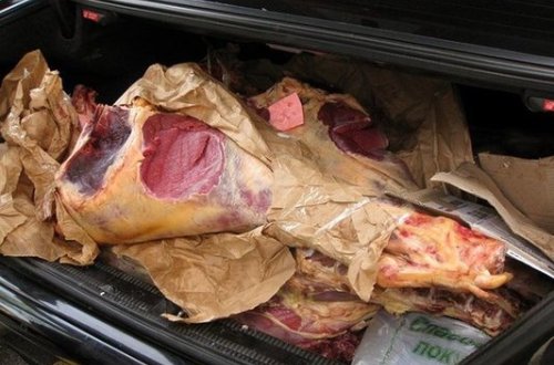 Bakıya 140 kq mənşəyi məlum olmayan heyvan cəmdəkləri gətirdilər