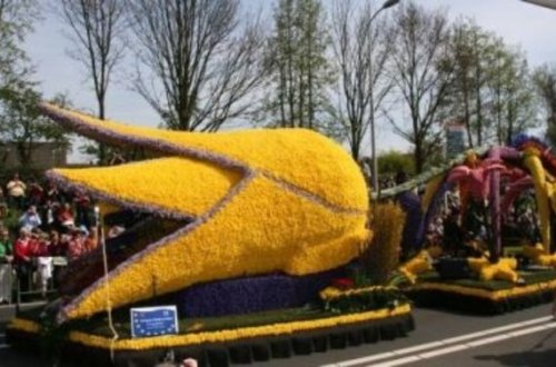 Gül paradı - Al-əlvan festival təşkil olundu