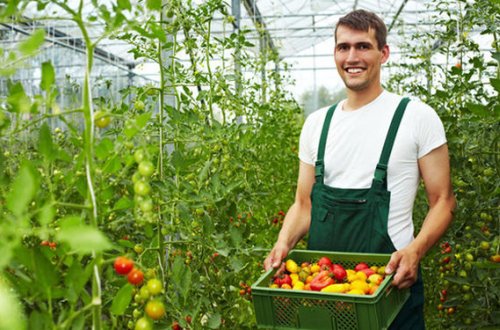 Nazirlikdən fermerlərə daha bir güzəşt