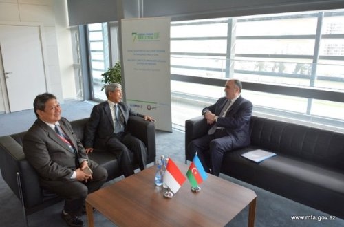 Məmmədyarov indoneziyalı həmkarı ilə