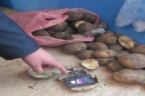 Məhkuma gətirilən kartofun içindən telefon çıxdı