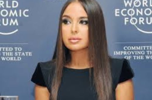 Leyla Əliyeva: Artıq fəaliyyət göstərməyin vaxtı gəlib çatıb