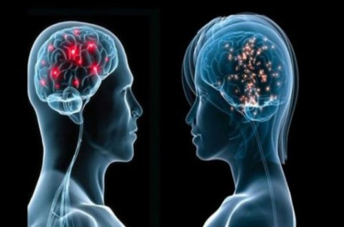 Alimlər sübut etdilər: