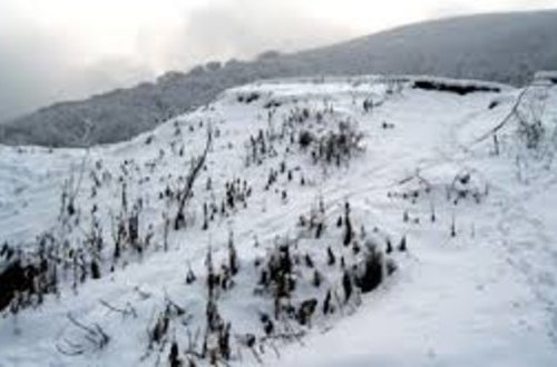 Gədəbəyə qar yağıb