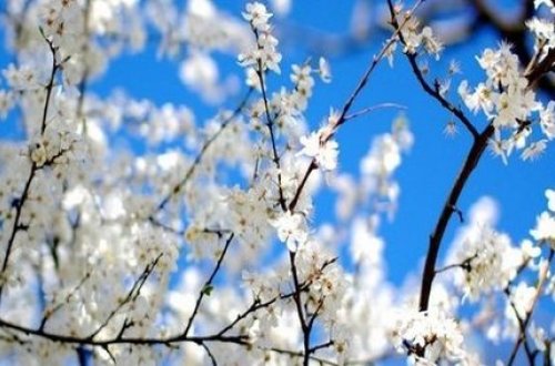 Sinoptiklər 29 dərəcəyədək isti vəd edirlər