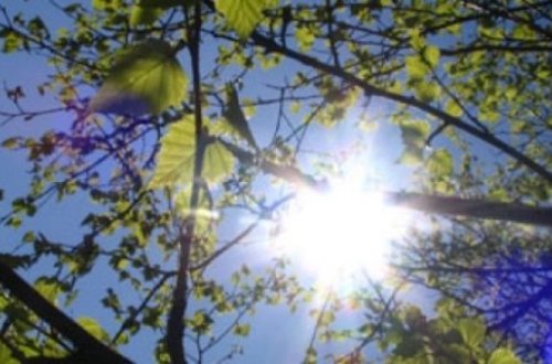 Bu gün əsl yaz havası olacaq